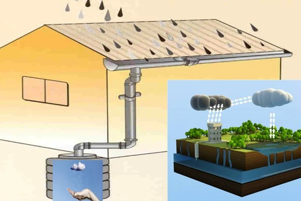 Rain-harvesting rainwater harvesting services